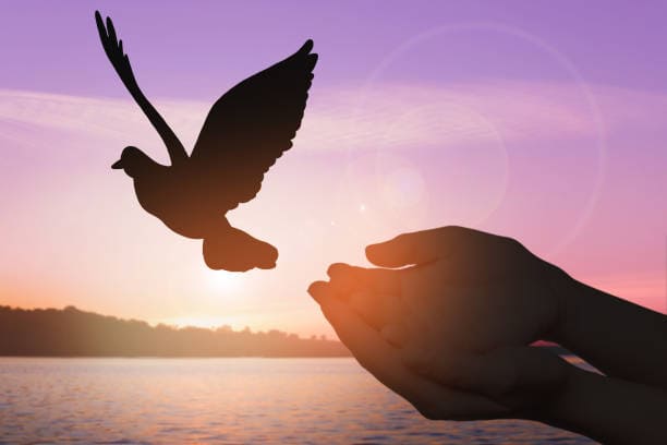 Comment retrouver la paix intérieure grâce à un accompagnement spirituel personnalisé